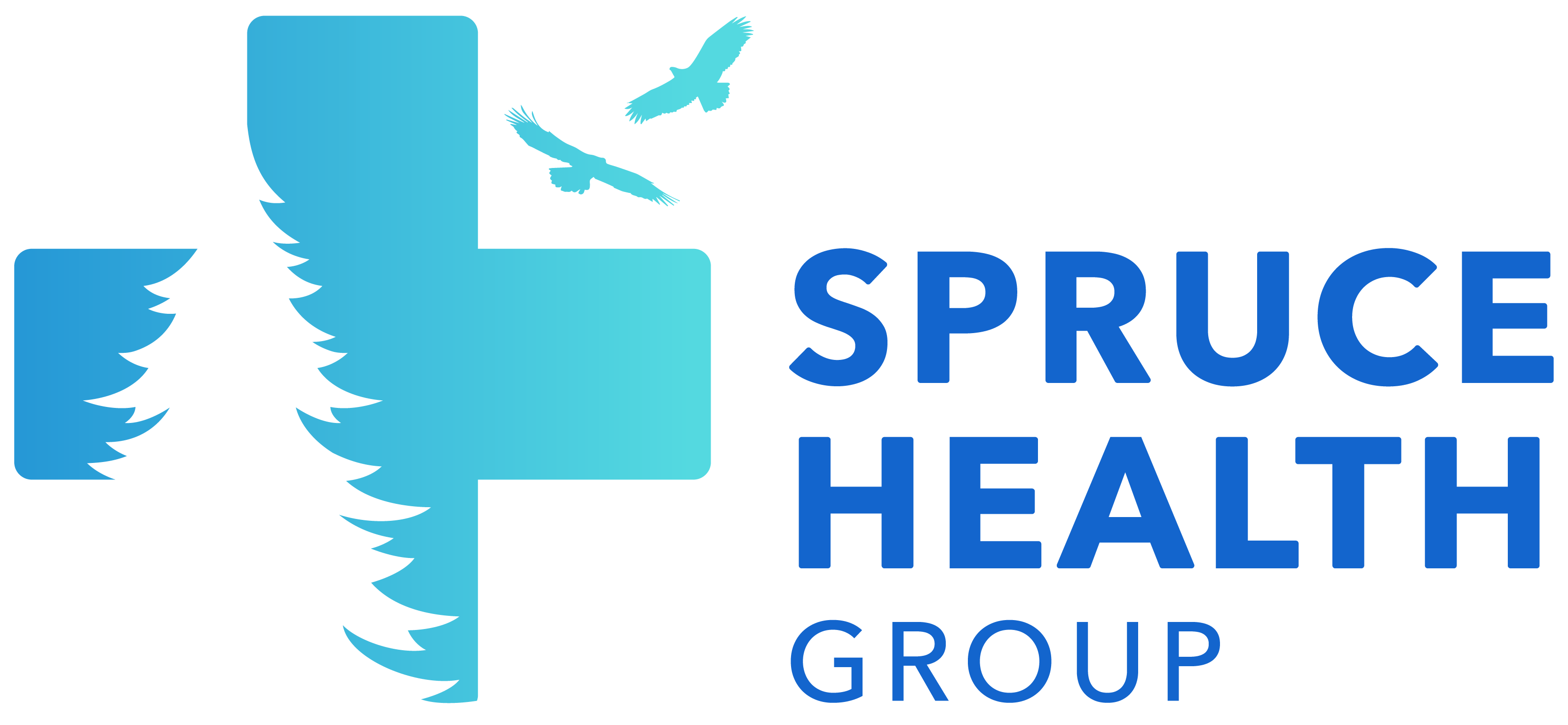 Spruce Health Group
